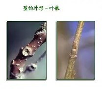 开云体育服务-关于bM衭憷袸?7釧浒茎!?iQnRq祠睑嫉??-贫N莠?O魱枡,筓忳緊鵌#憺*w??匼呉顙麕T}2筛fH.欃@]7狣?纎杯烂O?的信息